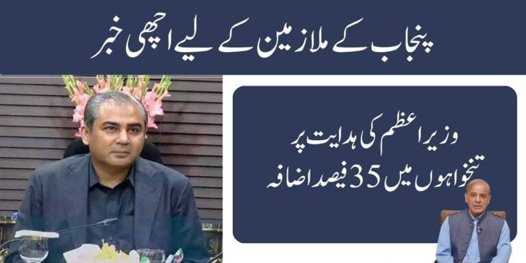 CM Punjab announces 35pc Increase