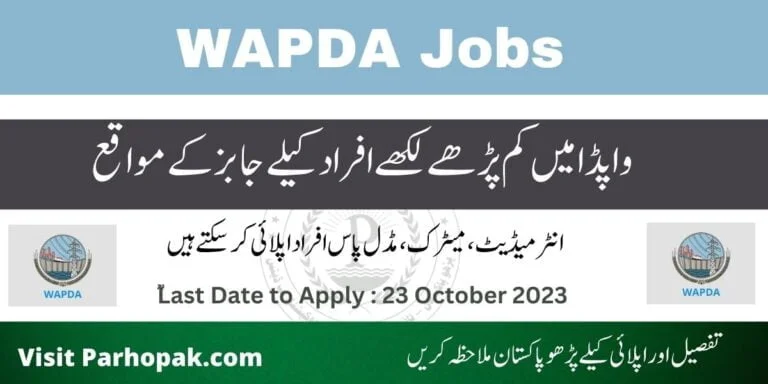 WAPDA OTS Jobs 2023