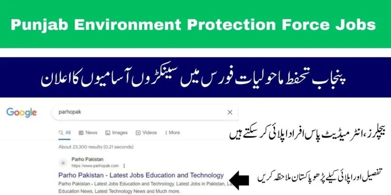 Punjab Environment Protection Force Jobs